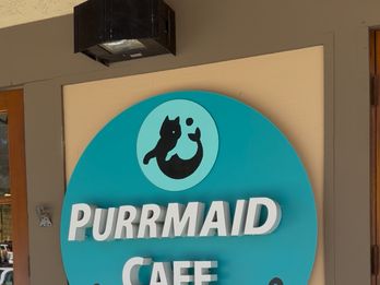 Purrmaid Cafe & Adoption Center
